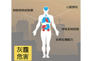 空氣中PM2.5 是由什么物質(zhì)組成的？