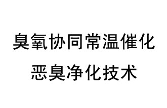 臭氧協同常溫催化惡臭凈化技術