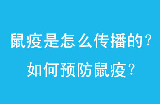 鼠疫是怎么傳播的？如何預(yù)防鼠疫？